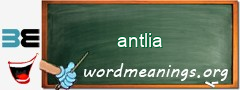 WordMeaning blackboard for antlia